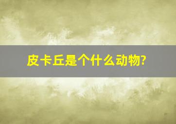 皮卡丘是个什么动物?