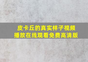 皮卡丘的真实样子视频播放在线观看免费高清版