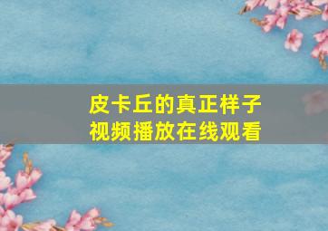 皮卡丘的真正样子视频播放在线观看