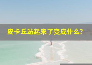 皮卡丘站起来了变成什么?