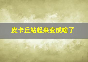 皮卡丘站起来变成啥了