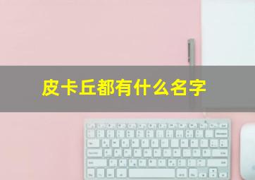 皮卡丘都有什么名字