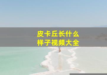 皮卡丘长什么样子视频大全