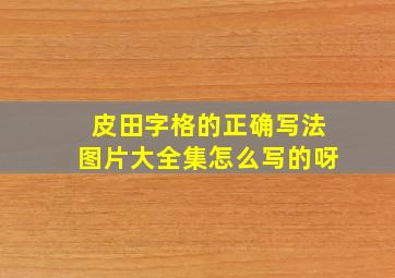 皮田字格的正确写法图片大全集怎么写的呀