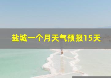 盐城一个月天气预报15天