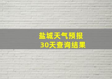 盐城天气预报30天查询结果