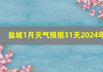 盐城1月天气预报31天2024年