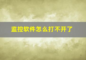 监控软件怎么打不开了