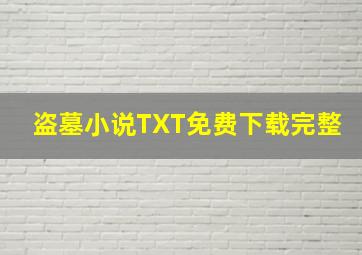 盗墓小说TXT免费下载完整