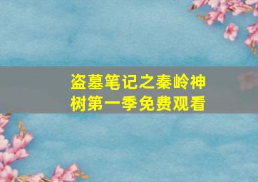 盗墓笔记之秦岭神树第一季免费观看