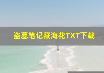 盗墓笔记藏海花TXT下载