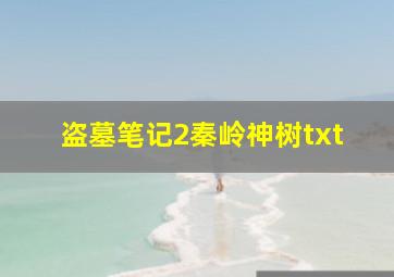 盗墓笔记2秦岭神树txt