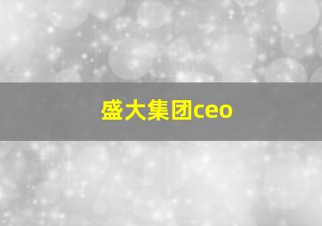 盛大集团ceo