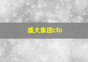 盛大集团cfo