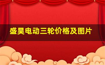 盛昊电动三轮价格及图片