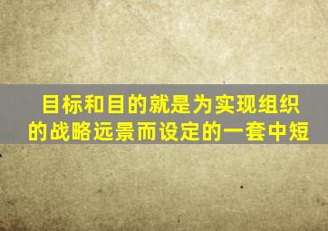 目标和目的就是为实现组织的战略远景而设定的一套中短