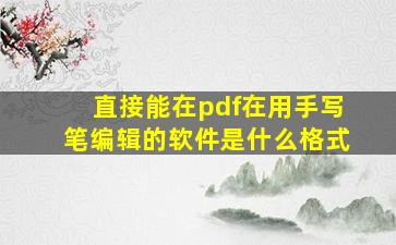 直接能在pdf在用手写笔编辑的软件是什么格式