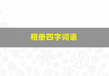 相册四字词语