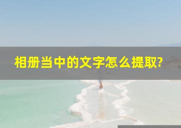 相册当中的文字怎么提取?