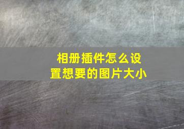 相册插件怎么设置想要的图片大小