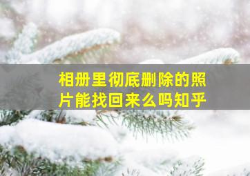 相册里彻底删除的照片能找回来么吗知乎