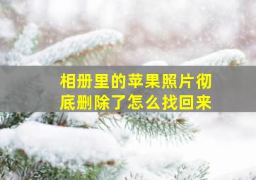 相册里的苹果照片彻底删除了怎么找回来