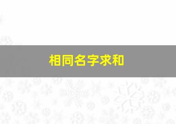 相同名字求和