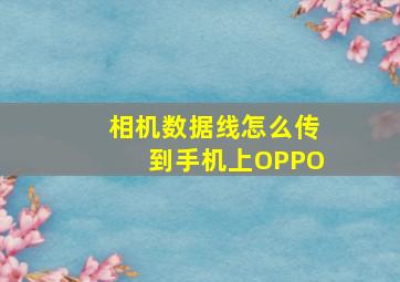 相机数据线怎么传到手机上OPPO