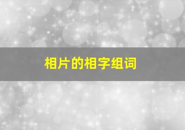 相片的相字组词