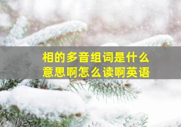 相的多音组词是什么意思啊怎么读啊英语