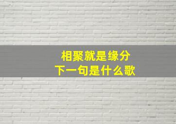 相聚就是缘分下一句是什么歌