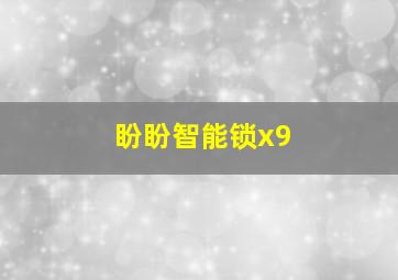 盼盼智能锁x9