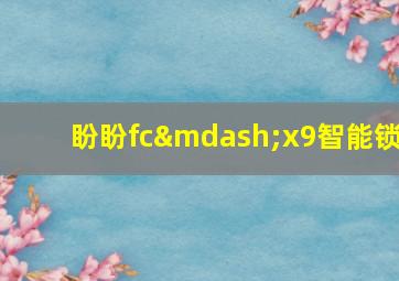 盼盼fc—x9智能锁