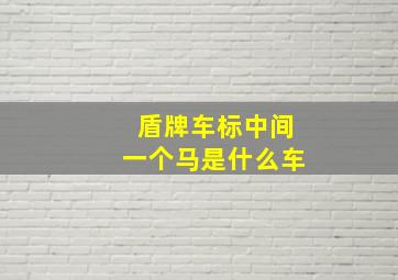 盾牌车标中间一个马是什么车