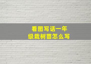 看图写话一年级栽树苗怎么写