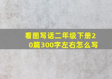 看图写话二年级下册20篇300字左右怎么写