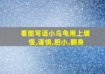 看图写话小乌龟用上缓慢,谨慎,胆小,翻身