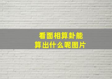 看面相算卦能算出什么呢图片