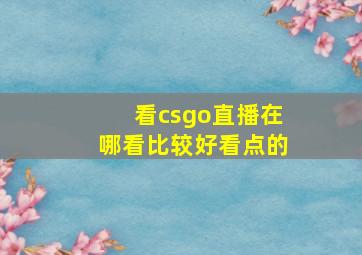 看csgo直播在哪看比较好看点的