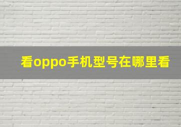 看oppo手机型号在哪里看