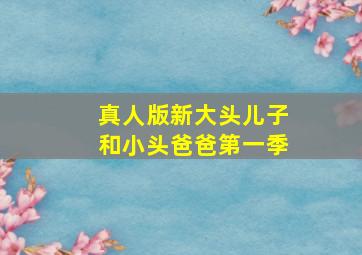 真人版新大头儿子和小头爸爸第一季