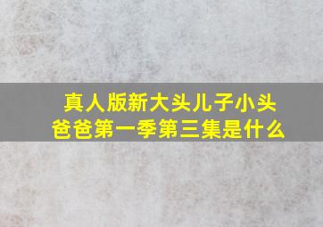 真人版新大头儿子小头爸爸第一季第三集是什么