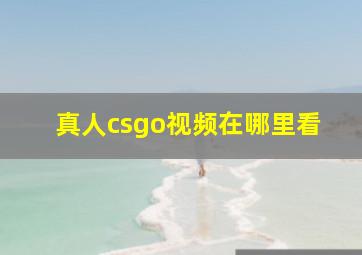 真人csgo视频在哪里看