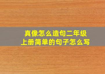 真像怎么造句二年级上册简单的句子怎么写