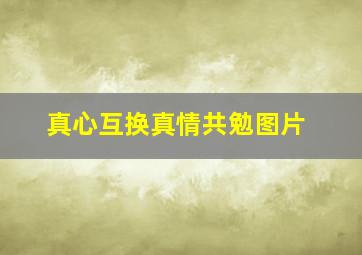 真心互换真情共勉图片