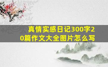 真情实感日记300字20篇作文大全图片怎么写