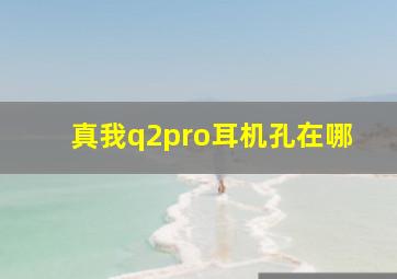 真我q2pro耳机孔在哪