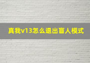 真我v13怎么退出盲人模式