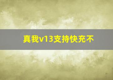 真我v13支持快充不