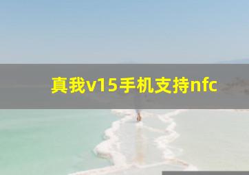 真我v15手机支持nfc